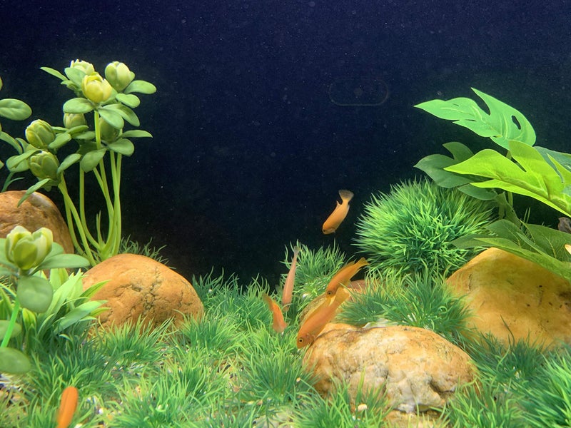 BEGONDIS Artificial Green Water Plants Flower Set 18 Pcs, Fish Tank Aquarium Decorations, Made of Soft Plastic - Image 4